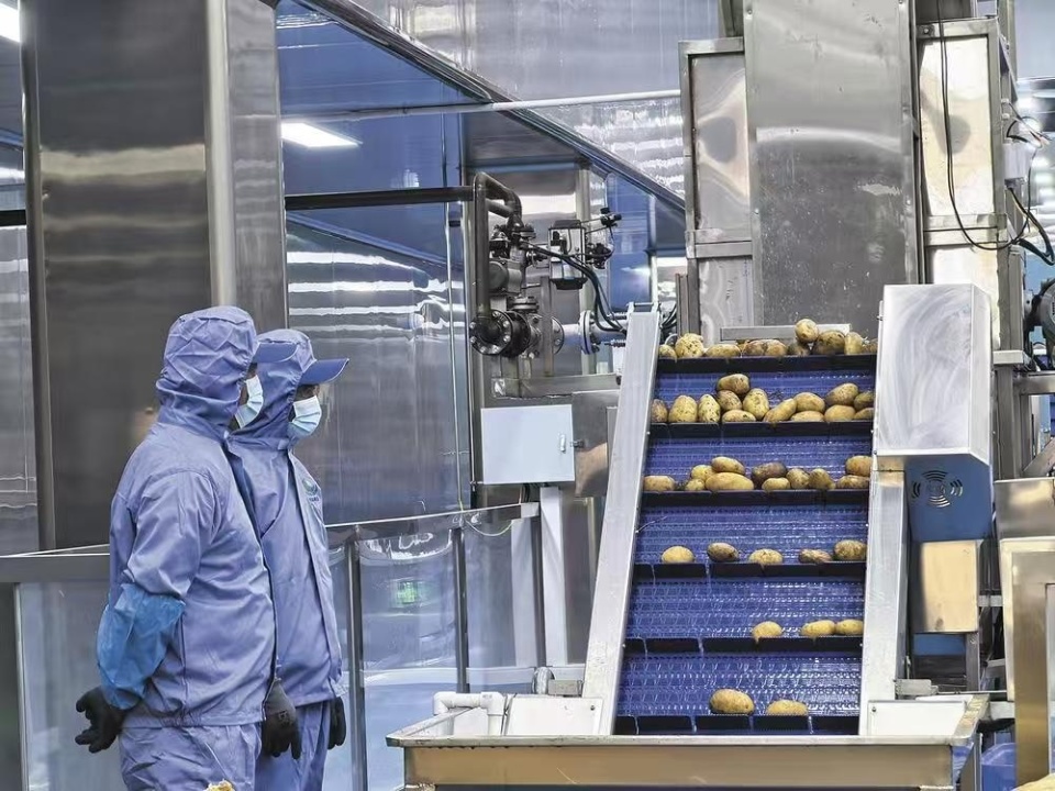乐都东西部协作结硕果 现代化薯条工厂投产，助力农副产品销售升级