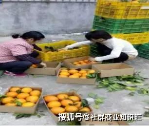 你不知道的农副产品快速销售方法揭秘