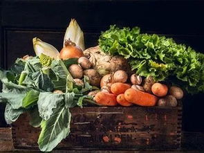 政策助力乡村振兴 三部门联合发布方案鼓励政府采购贫困地区农副产品