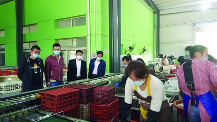 大冶市畜牧兽医局 当好“服务员”，助力涉牧企业复产增效，保障食品销售安全顺畅