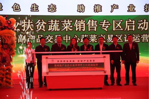 双龙农副产品交易中心蔬菜交易区试运营，助力黔货出山新篇章