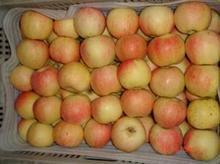 嘎啦苹果高清图片与运城市农副产品销售公司介绍