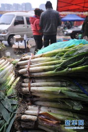 追踪疯狂的大葱 经销商囤货获利千万背后